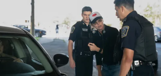 Blue Bloods Star Bridget Moynahan Directs Episode Featuring DUI Arrest