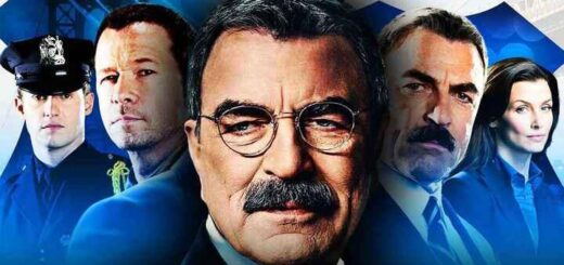 Blue Bloods Will Not Return for Season 15, CBS Executive Clarifies