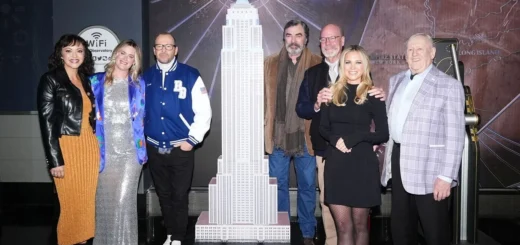 Donnie Wahlberg Confirms Blue Bloods Stars for Boston Blue